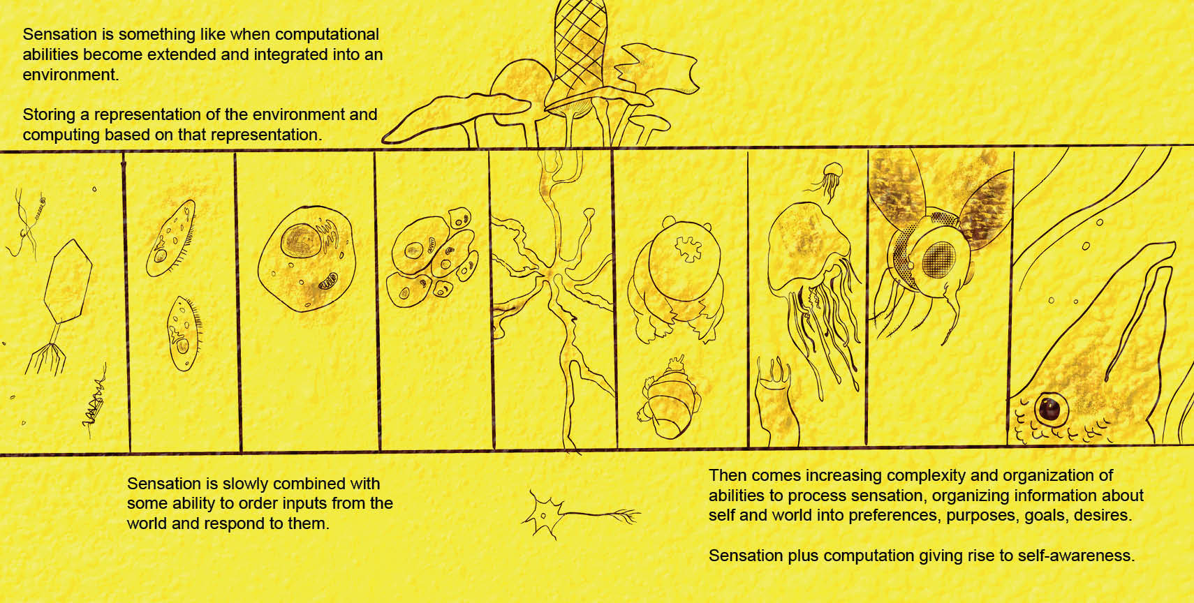 Pages 26-27